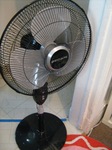 fan.jpg